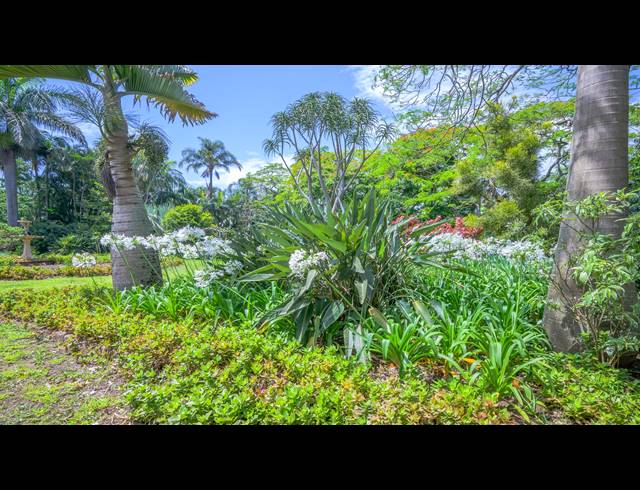 70,140M² FARM FOR SALE IN BALLITO CENTRAL